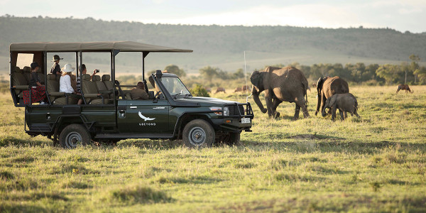 Fly Safari Mara Kichwa by andBeyond
